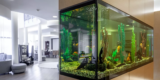 What Are Some Natural Decor Options for Freshwater Aquariums?
