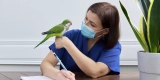 What Are Some Common Signs of Illness in Pet Birds, and When Should I Seek Veterinary Care?